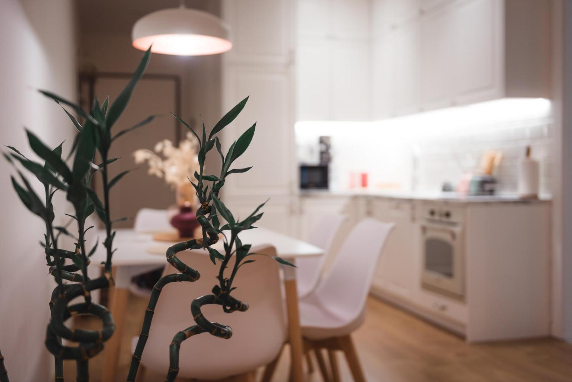 Tam Skanderbeg Square Serviced City Center Apartment No1 ティラナ エクステリア 写真